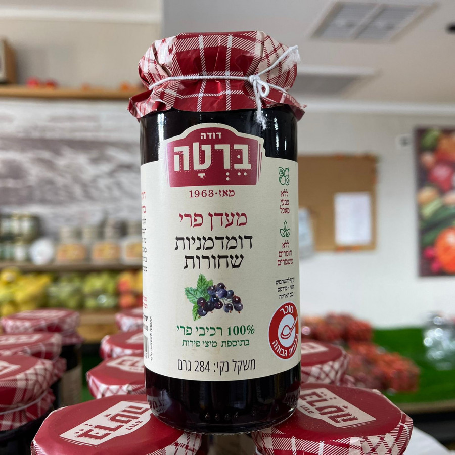 מעדן פרי דומדמניות שחורות