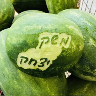 אבטיח 5.5 ש"ח לק"ג. מחיר משוער ליחידה