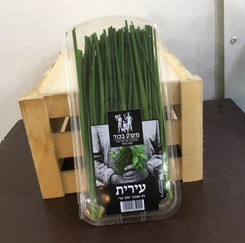 עירית