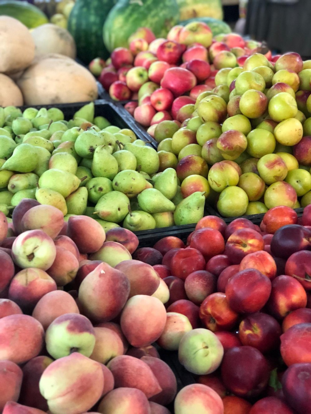 נקטרינה אגסים ושלל פירות טריים